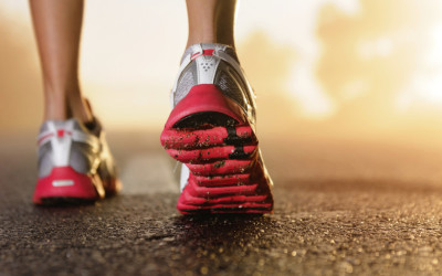 Fitness: A Trainer’s Story / A Trainer’s Tips – Robert Werner